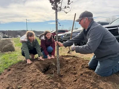 Girl Scouts assist with tree planting
